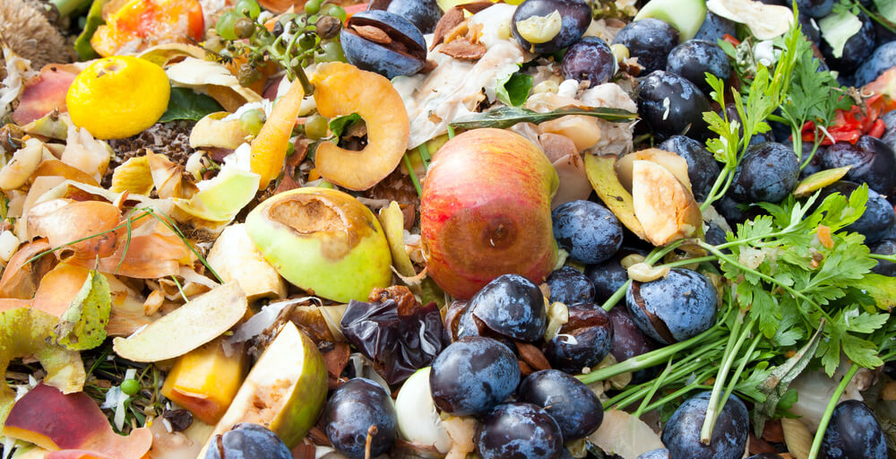 7 dicas para reduzir o desperdício de comida em cozinhas industriais